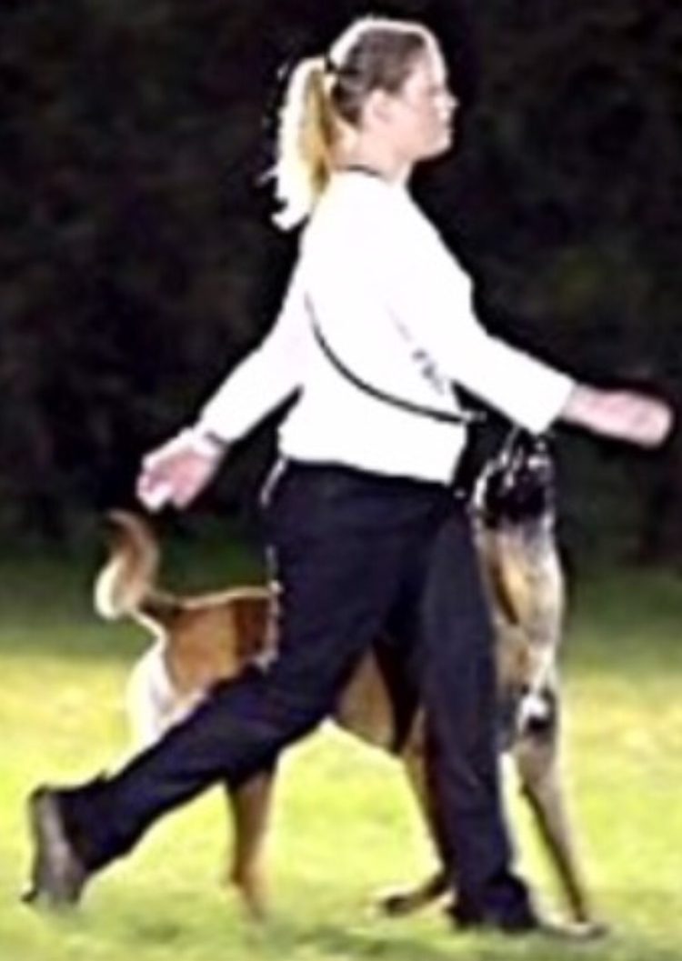 Dog Obedience & Dog Training in Clarksville, TN Model Citizen Canine