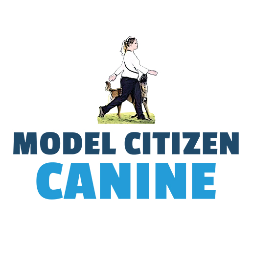 Model Citizen Canine